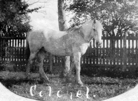 'Colonel'